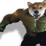 Hulk Doge