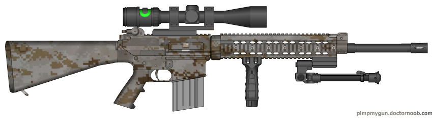 SR-25 Desert Camo