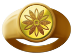 Daisy Academy Ring by EMReven