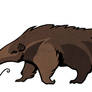 Anteater