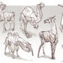 Camel inspired animals