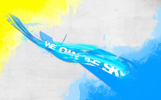We own the sky