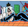 Cat waiting Spider