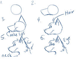 Wolf Head Tutorial Side View