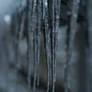 Icicles