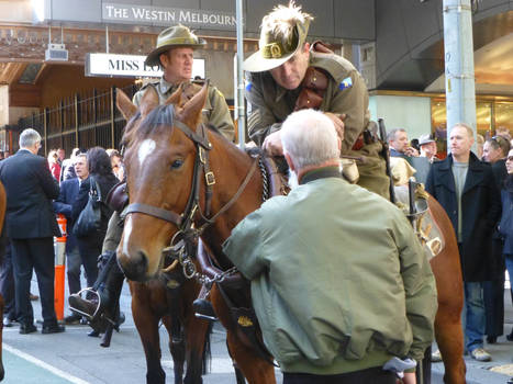 Horse and Rider.