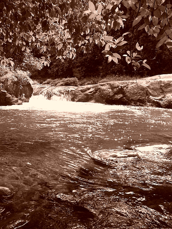 Swimmimg hole In Sepia