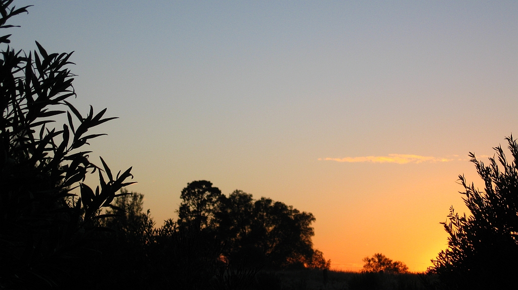 Back Paddock Sunrise 001