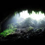 Camuy Cave Entrance