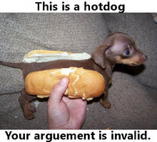 Arguement invalid - Hotdog