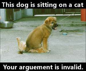 Arguement invalid - Dog sits