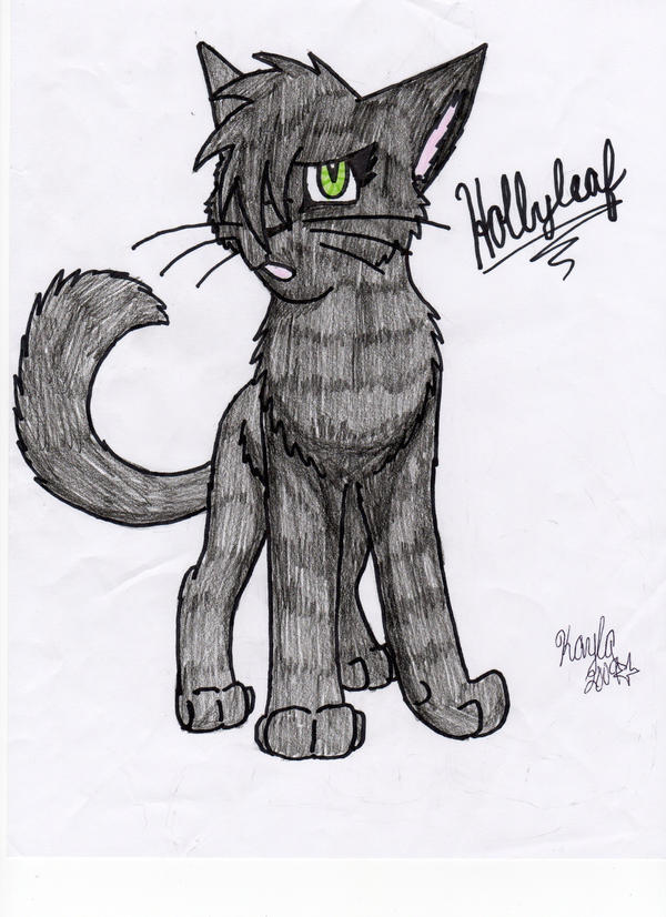 Hollyleaf is sry