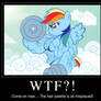 WTF Rainbow Dash