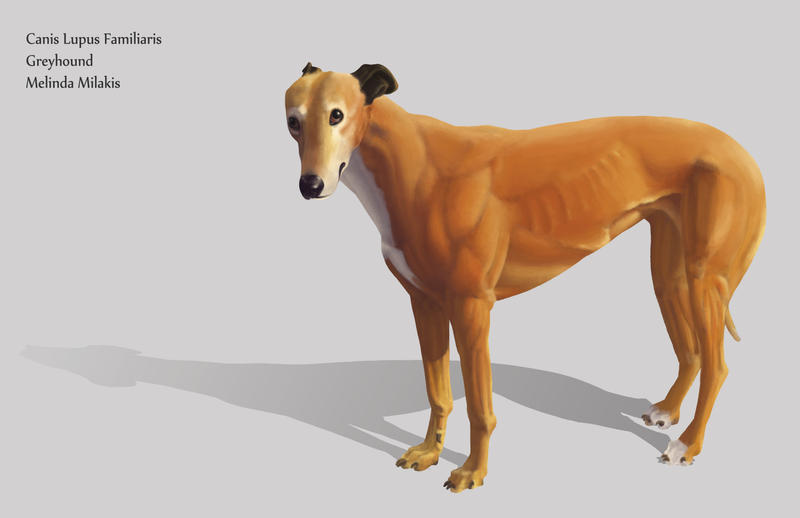 Rendered Dog