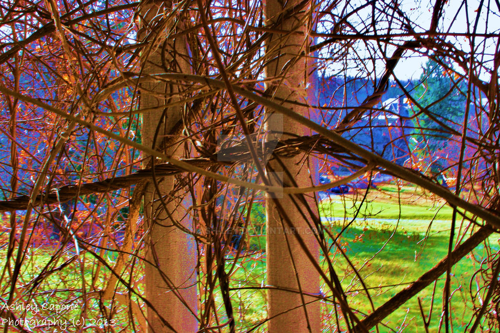 Tangles Mess Tangled Mess by smAsh-ley on DeviantArt