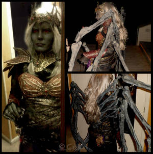 Lolth Costume 1