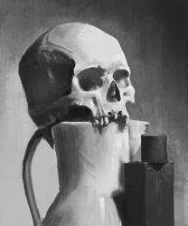 Skull - Painting practice