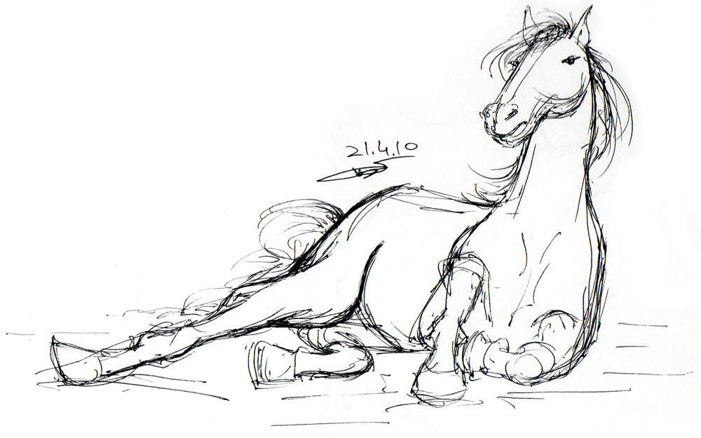 Horse 009 + 04.10