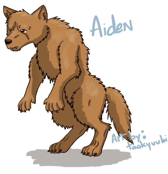 Neo Request - Aiden