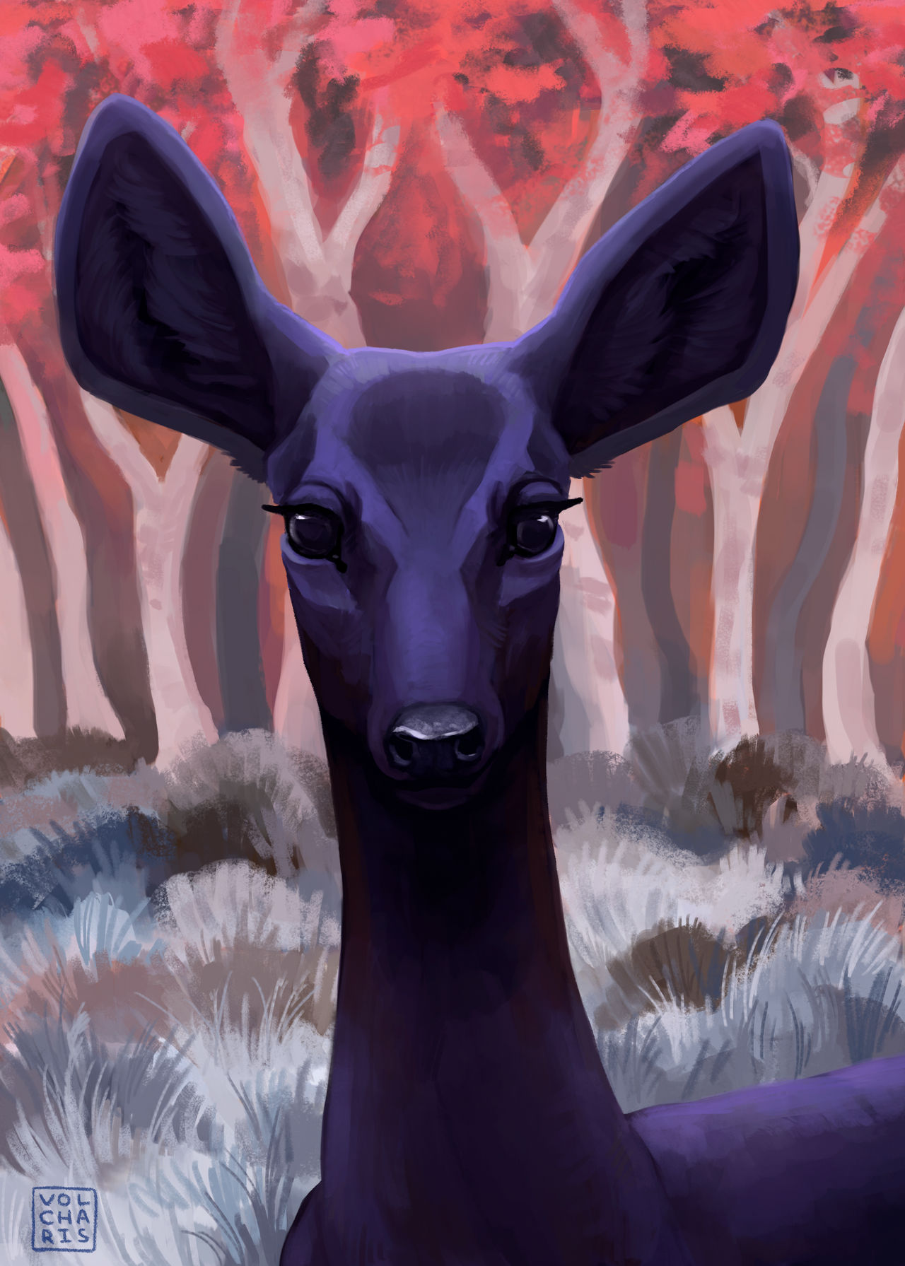 Black Doe By Volcharis On DeviantArt black-doe-by-volcharis-on-deviantart