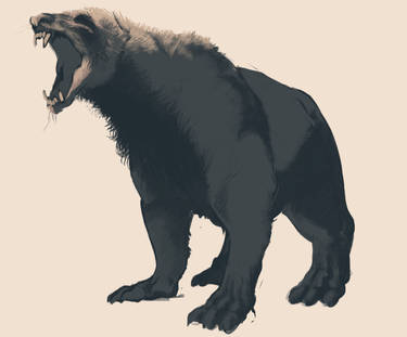 Not A Bear