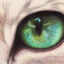 Cat eye