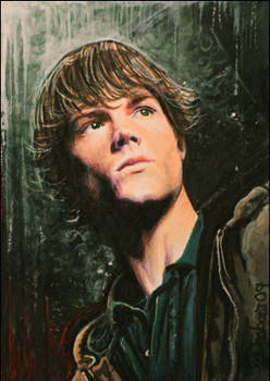 Supernatural -Sam Winchester