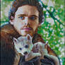 Robb Stark and Greywind