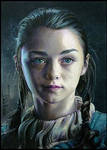 Arya Stark of Winterfell by DavidDeb