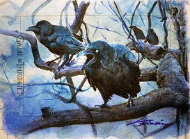 Corvus Noctis