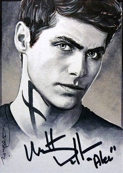 Shadowhunters -Alec