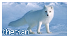 Arctic Fox Therian Stamp