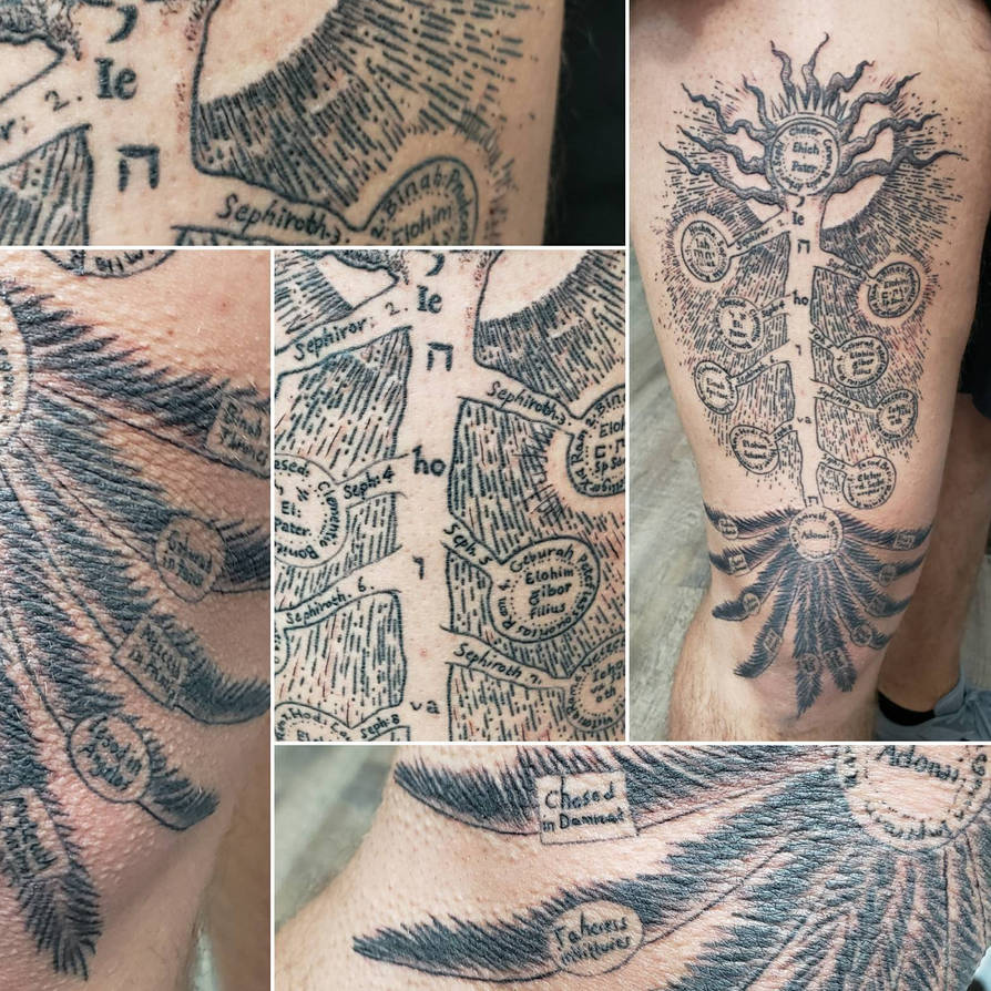 Full metal alchemist tree by lavonne on DeviantArt