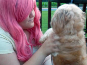 Fluttershy loving her puppy