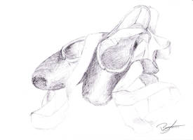 pointe shoe