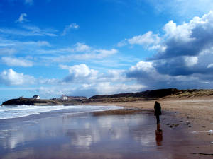 Lonely Beach