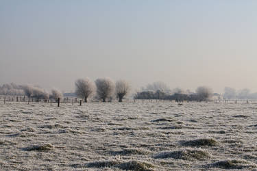 Ice landscape Diksmuide 27