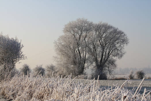 Ice landscape Diksmuide 32