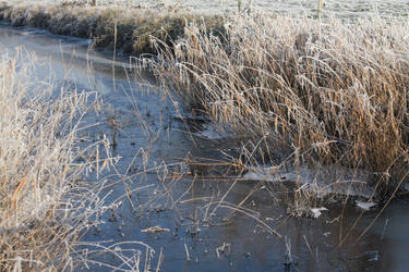 Ice landscape Diksmuide 34