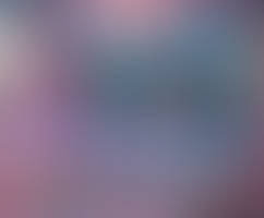 Sexy kawaii donut shop ladies