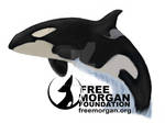 Free Morgan by CetaceanNerd