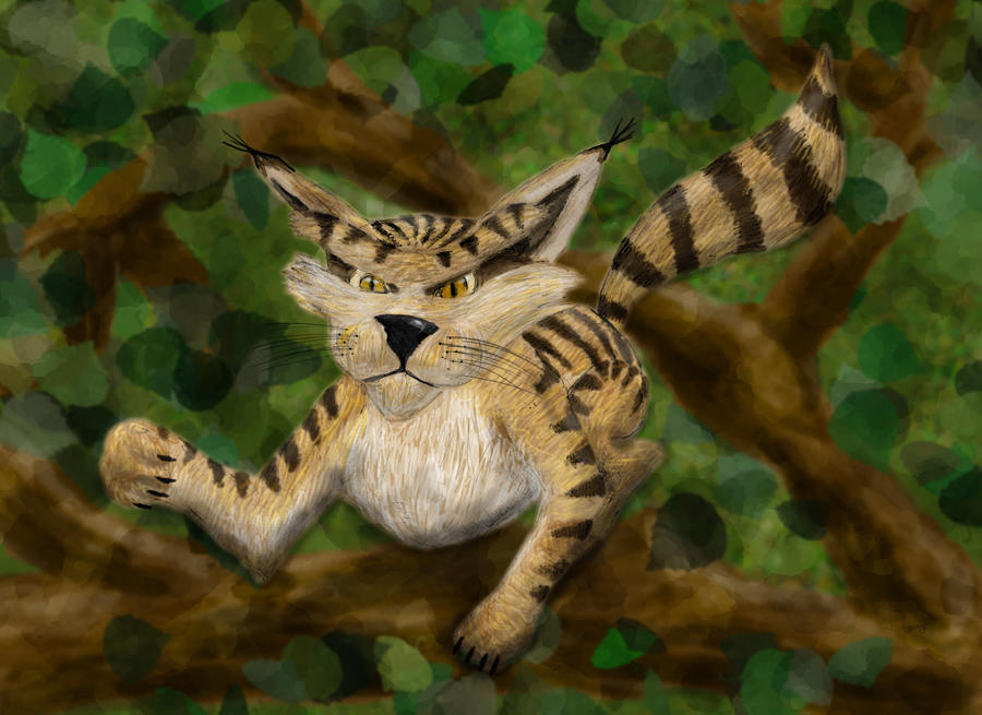 fantasy racoon by bengamey on DeviantArt