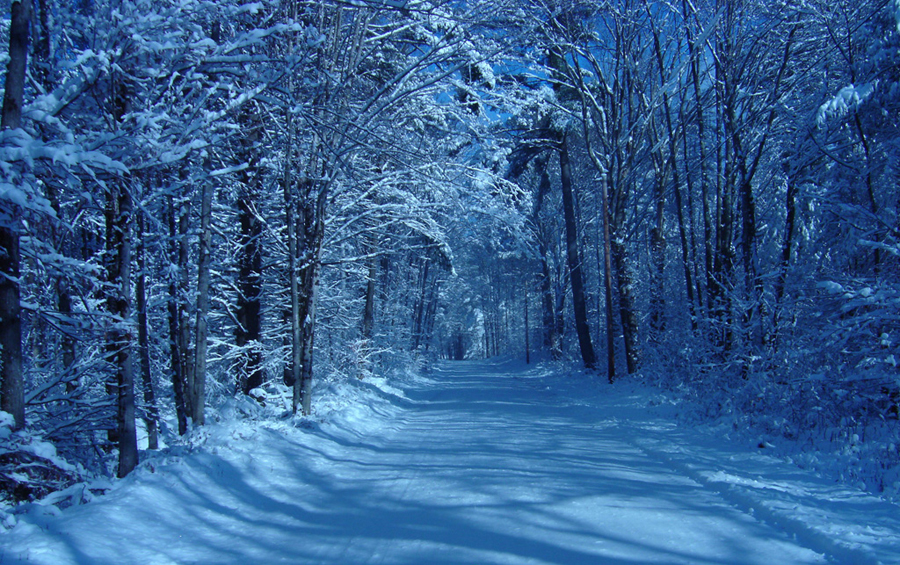 Snowy Avenue