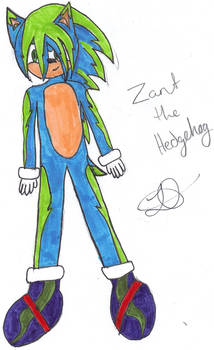 Zonourge fanchild Zant the Hedgehog