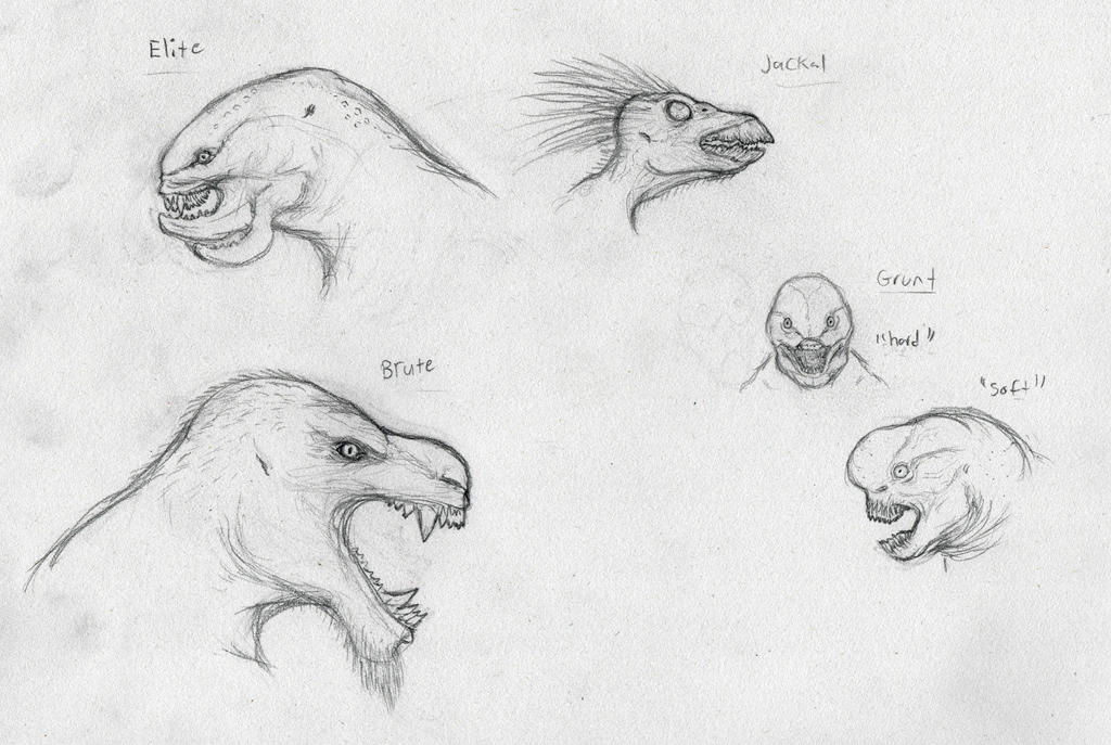 Halo Covenant Races sketches by Quinn-Red on DeviantArt