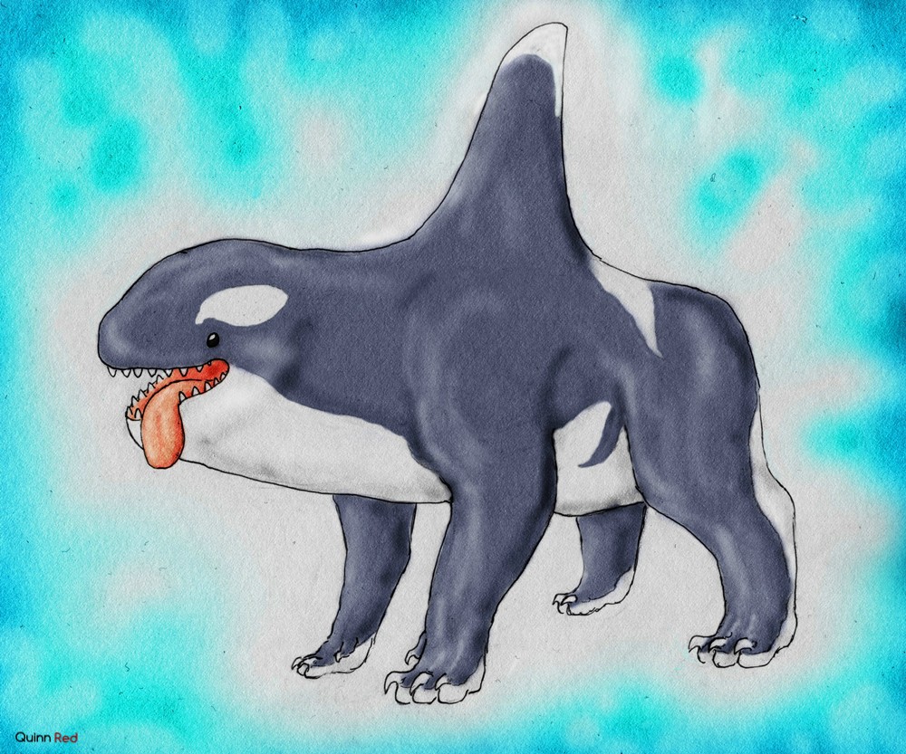 Kucing Orca Orca Dog by Quinn-Red on DeviantArt