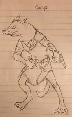 Zelda Doodles - Goriya