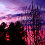 Pink And Purple Sunset