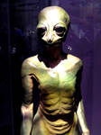 NCMNS Alien by LDFranklin NCMNS Alien by LDFranklin