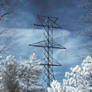 Pylon Behind IR Trees